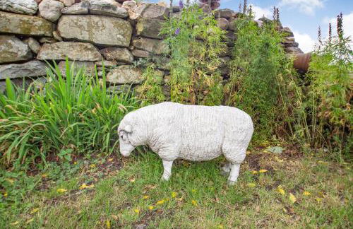 Pant Yr Iwrch - Foto 23