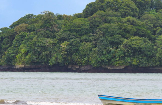 Excursion dans la baie de Malaga - Photo 1