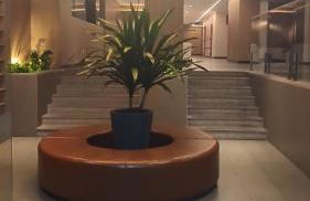 Apartamento próximo a COP30 - Foto 3