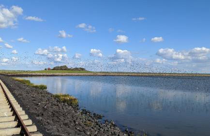 Ferienwohnung Hafenblick - Foto 38