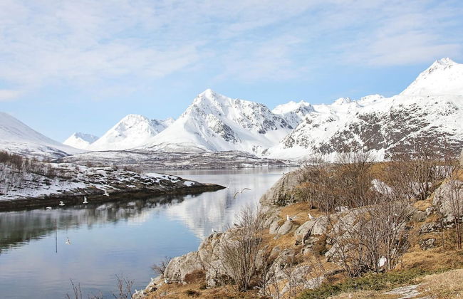 10 Person Holiday Home in Lyngseidet - Foto 27