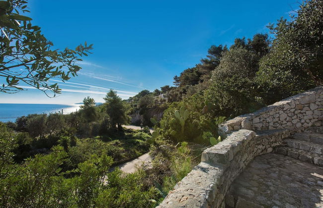 Pajara Acquaviva - Foto 25