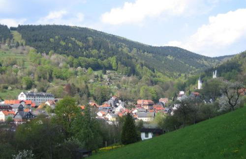 Ferienwohnung Panorama - Foto 42