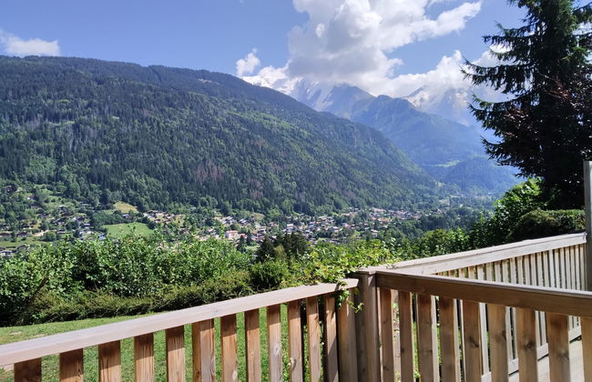 Le clos Alpin - Foto 18