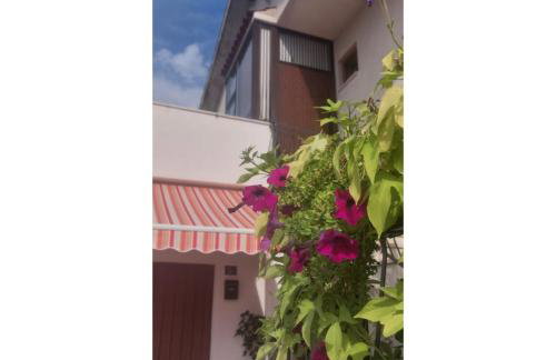 Apartman Dino - Foto 21