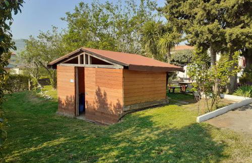 Pier Delle Vigne B&B - Foto 36