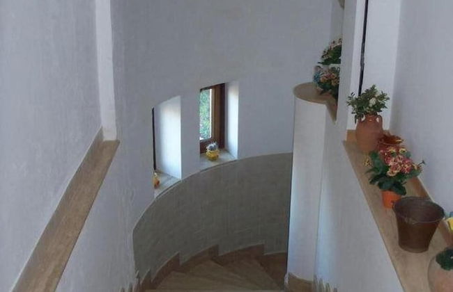 Agriturismo Le Agavi - Foto 11