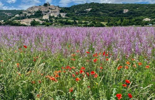 Maison de village, piscine, Colorado - Foto 12