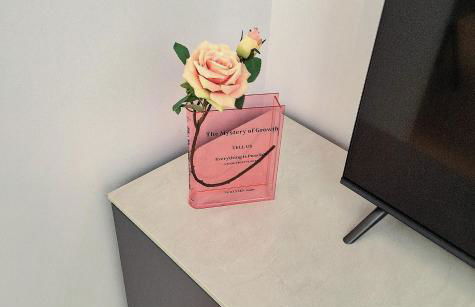 Compagnoni12 Luxury penthouse with private Jacuzzi and SPA - Foto 11