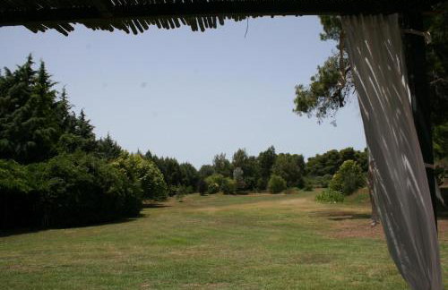 Terry Land Village - Foto 22