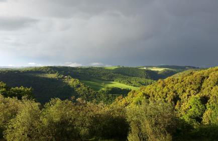 Torre appartamento con vista - Foto 43