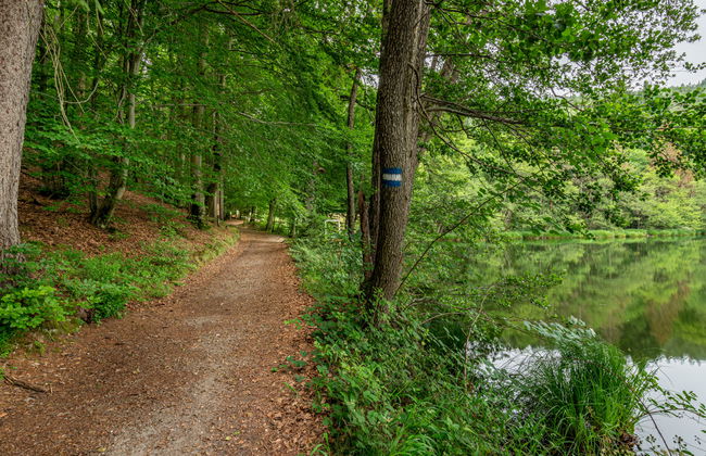 Sonnenteich-Haus - Foto 28