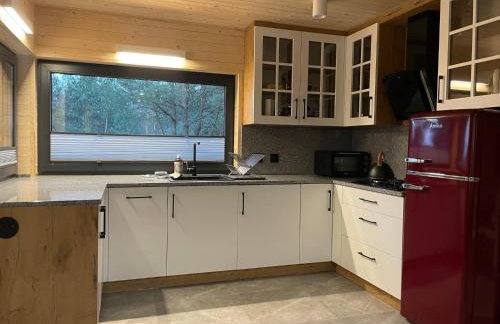 U Progu Lasu - Foto 38