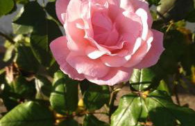 Villa Lina 6 pers plages et rivières - Foto 30