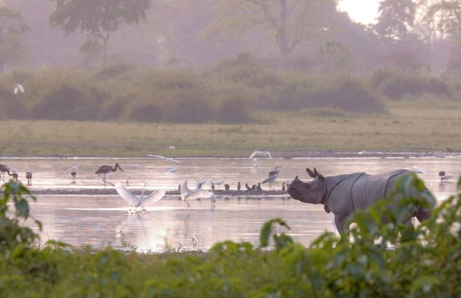 Wild Mahseer - Foto 44