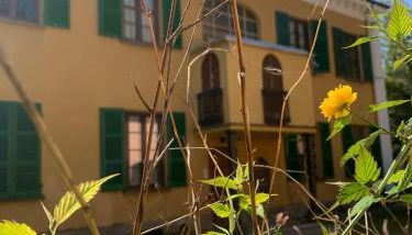 Villa Rollier, Arte e Meditazione - Foto 2