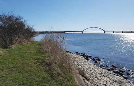 Ferienhaus Lichtblick am Teich - Foto 21