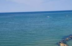 LAMAR SUITES Seafront Apartments - Foto 1