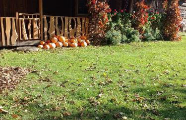 agrohaczów zarzeką apartament pod orzechem - Foto 17