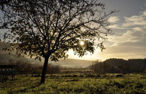 Un Air de Die - Foto 10