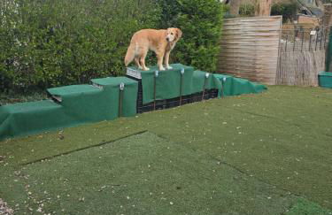Ferienwohnung Fellnasen WG - Foto 39