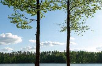 PRZYSTANEK DŁUŻEK - Photo 16