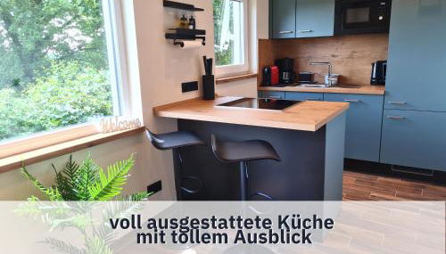 Ferienhaus Rothsee-Oase ideale Ausgangslage mit tollem Ausblick, Sauna und privatem Garten - Foto 4, stove, minibar