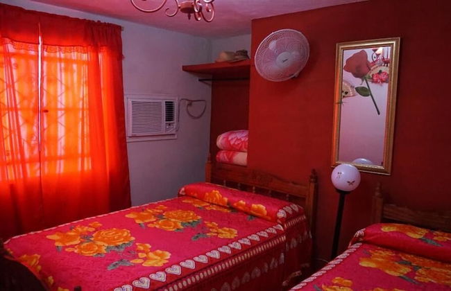 Holiday rental in Viñales with garden and terrace - Photo 4