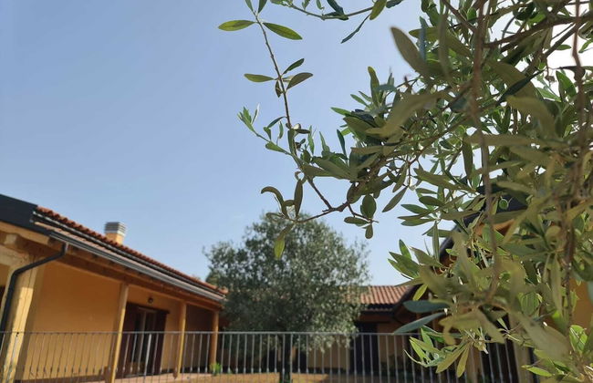 Agriturismo Corte Degli Ulivi - Foto 61