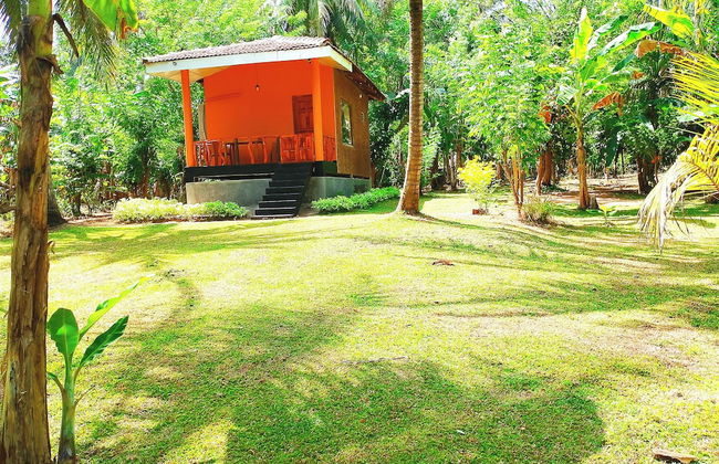 Milk House Cottage Udawalawe - Foto 24