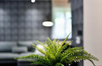 Villa VEGA - Gorseti - Foto 33