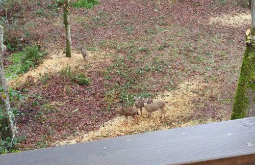 C19 Conscious, QUIET, ADULT Lake View Rental - Foto 14