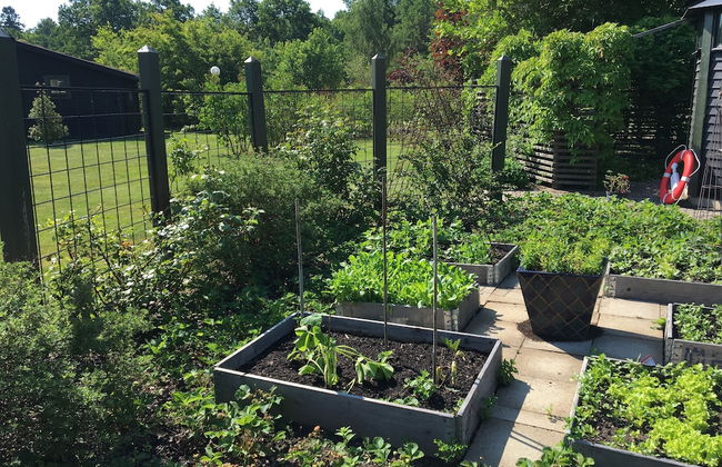 Åmund Vin & Fruktgård - Foto 51