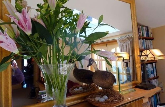 The Duck House - Foto 25