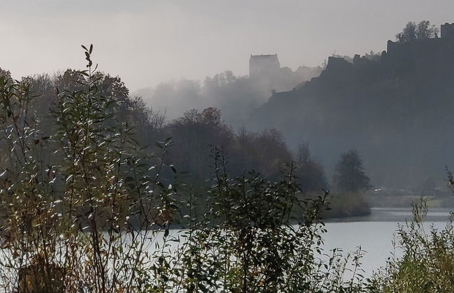 Tiny Haus Raabennest - Foto 25