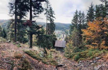 Apartment-Chalet Panorama - Foto 49