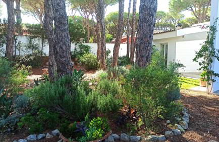 Diseño y luz entre los pinos - Foto 56