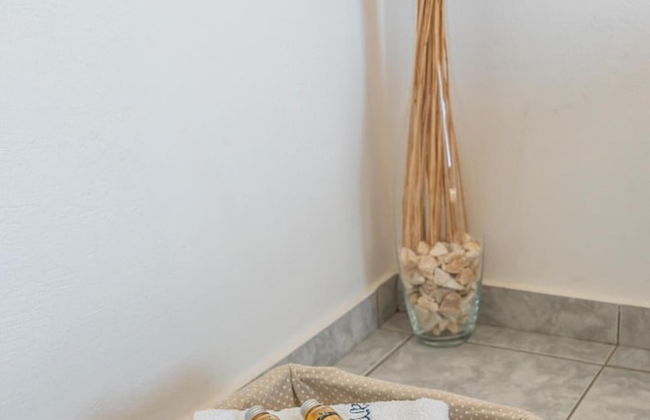 Ippocampos - Foto 78