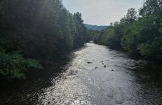 Regina apartment in Fort William - Foto 48