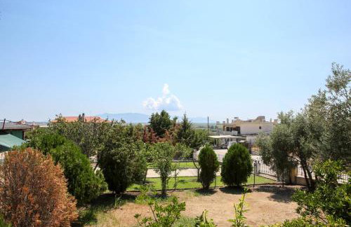 Village House - Photo 38