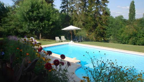 Le Gite Amical des Chiens - Foto 4