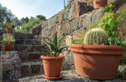 Clelia Case Vista Mare - Foto 33