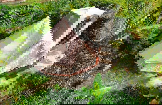 Kamanicamp - Foto 37