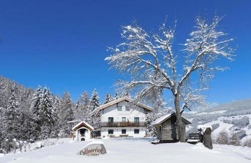 Bnb Lettnerhof Balcony Family Suite - Photo 23