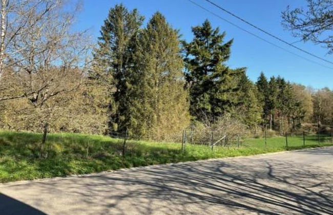 Nature Chalet in Somme-leuze - Foto 23