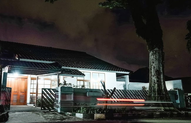 Boscha House - Photo 14