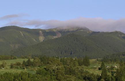 Resilience House - Photo 33