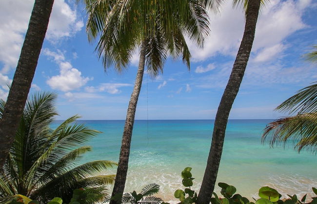 Secluded Beachfront Villa with Large Pool and Gardens - Fryers Well Bay by BSL Rentals - Foto 25