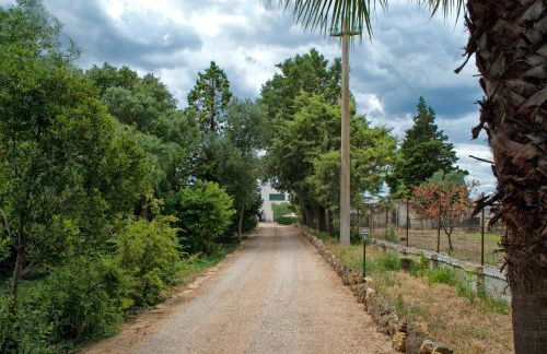 Masseria Strada Agriturismo - Foto 18