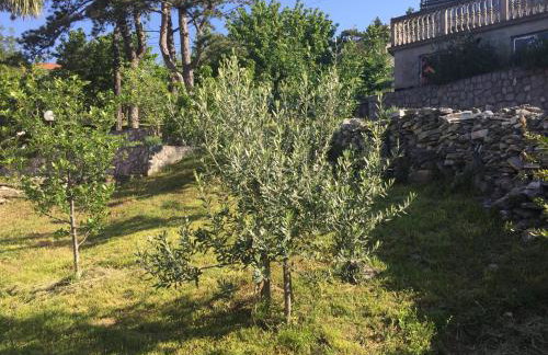 Apartment Galjanić - Foto 13